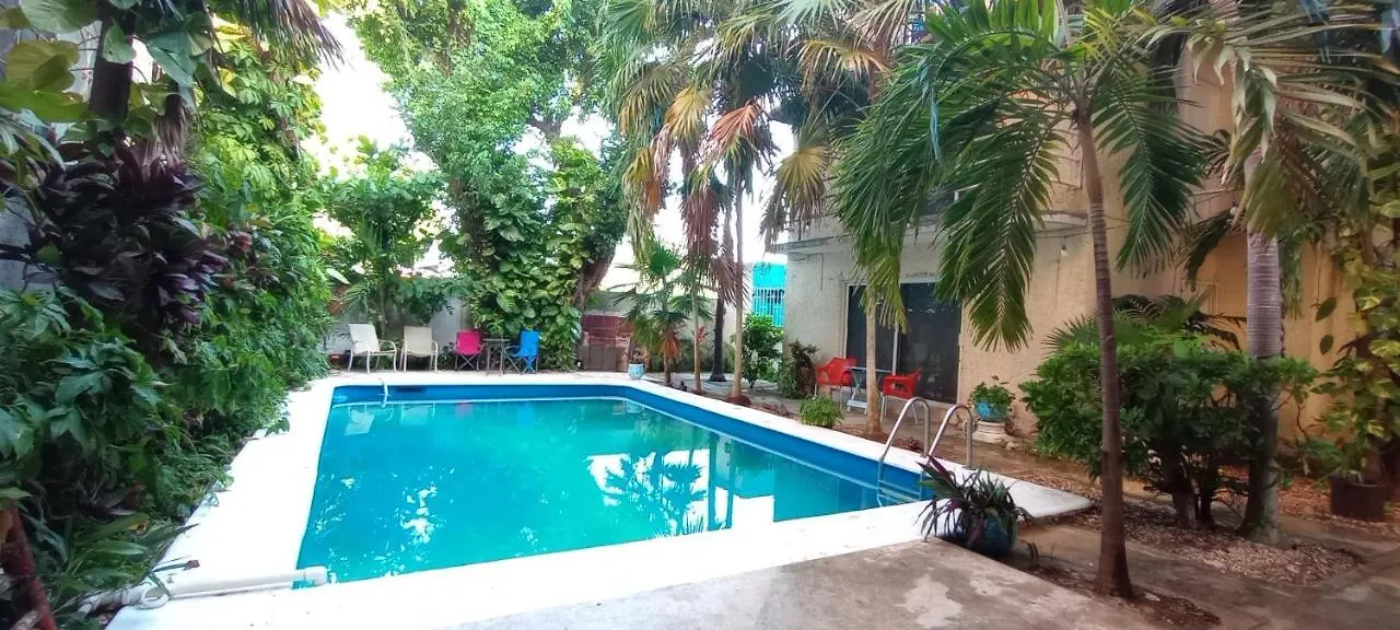 Apartment Departamento 